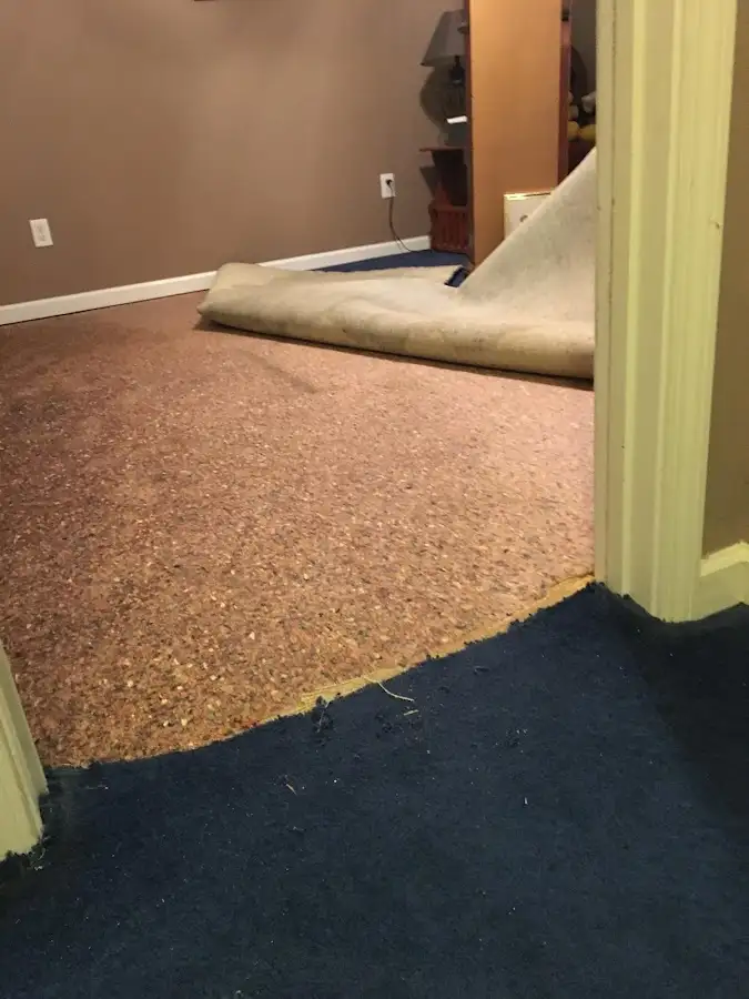 Carpet pad removal revealing water damage during Water Mitigation Services in North Riverside